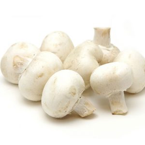 155_mushroom