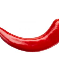 Chili pepper