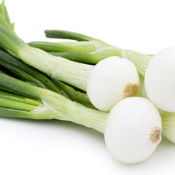 Spring Onion