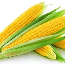 corn