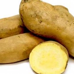 yellow sweet potato